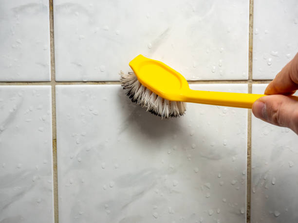 Best Office Mold Removal Services  in Lone Tree, IA