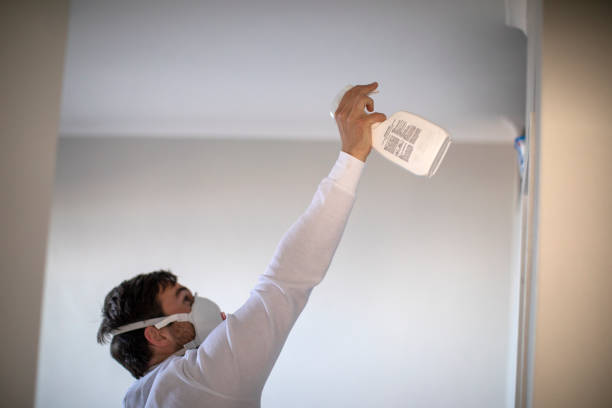 Home Mold Removal in Lone Tree, IA